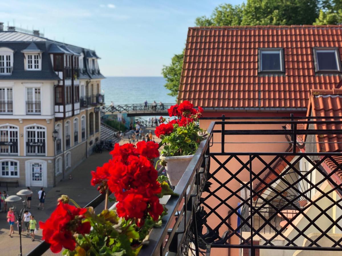 Apartamenty I Pokoje Chaton Mielno Mielno  Exterior foto